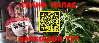 mdma Коммунар