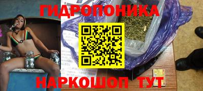 прущие грибы Комсомольск-на-Амуре